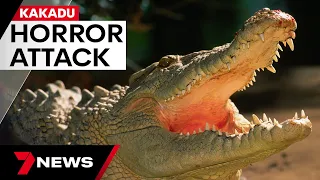 9-year-old fighting for life after crocodile attack in Northern Territory | 7 News Australia