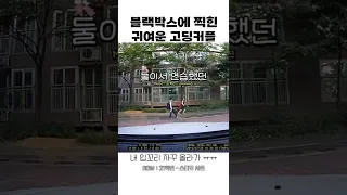 블박에 찍힌 졸귀 고딩커플 ㅋㅋㅋㅋ #shorts (21학번 - 스티커사진)