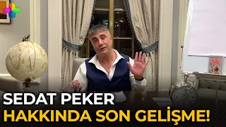 Sedat Peker için istenen ceza belli oldu