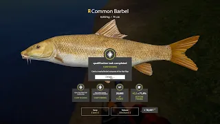 Russian Fishing 4 - Common Barbel Trophy 8,032 kg - Bear Lake