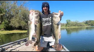 Tampa Bay Bass Fishing (Bait Change Makes MASSIVE Difference)