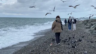 27.12.2022. Погода в Сочи в декабре. Смотри на Чёрное море каждый день.