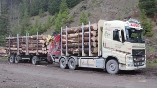 Auer Holztransporte  Gußwerk