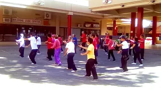 Celebrating World Tai Chi Day at the Chinese Cultural Plaza Honolulu with form Chen double 8