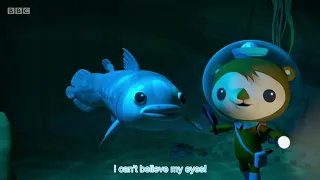 Octonauts, Series 4, Octonauts and the Coelacanth