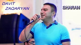 Davit Zaqaryan - Haykakan parayin sharan