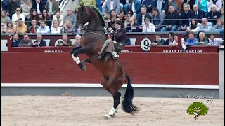 El rejoneador Diego Ventura y su caballo “Nazarí”