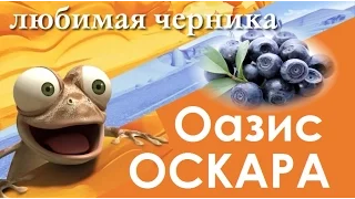 Мультфильм "Оазис Оскара - Любимая Черника" HD