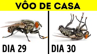 14 fatos sobre animais de cair o queixo que vão surpreendê-lo