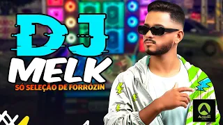 MÚSICAS MAIS TOCADAS SÓ SELEÇÃO DE FORRÓZIN - DJ MELK - CD FIM DE ANO PRA PAREDÃO