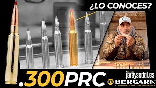 💥 ASÍ ES EL CALIBRE .300 PRC, CAPAZ DE HACER BLANCO A 1,6 KM