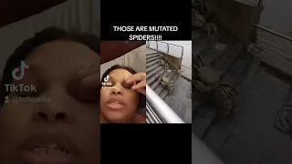 THOSE ARE MUTATED SPIDERS!!!! HELL NAW!!!! #tattoorika #roadto5k #tiktok #viral