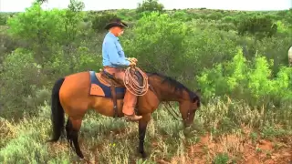 Matador Ranch, 2013 Zoetis/AQHA Best Remuda Award Winner