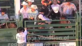 Horses Shocked, Animals Abused, Injured at Guymon (OK) Rodeo