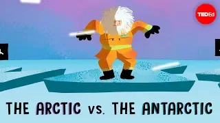 The Arctic vs. the Antarctic - Camille Seaman