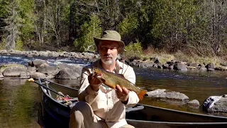 Growing Food with Fish in the Forest | Self Sufficient Living | Off Grid Homestead