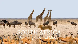 South Africa HD   Relaxing Classical Music With Scenic Relaxation Film