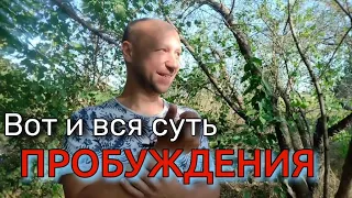 Видео о Пробуждении плюс простая практика осознания | #сатсанг /#пробуждение / #практика