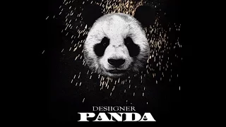 Panda by Desiigner Lyrics Video