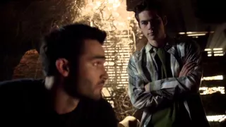 Sterek - Wild