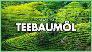 Teebaumöl – ein kleines Alleskönner, mit großer Wirkung