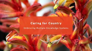 Caring for Country: Embracing Multiple Knowledge Systems