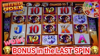 ⚠️Wow!! Largest Line Hit Seen so Far in¨Changed To¨: Buffalo Gold Revolution Slot