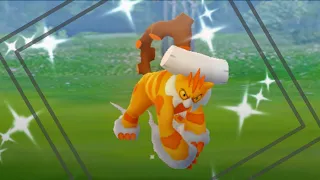 Landorus Raid Hour - Shiny Hunt | Pokemon Go Live