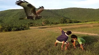 Amazing Boy Use Slingshot To Shoot Bird - Traditional Shooting By Slingshot In My Village