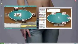 PokerCardView 4.06 ha realizzato 200.000 EURO nell'anno 2011