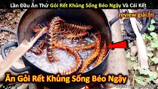 Khám Phá Món Gỏi Rết Khủng Lồ Sống Béo Ngậy Và Cái Kết Bất Ngờ || Review Giải Trí Đời Sống