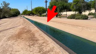 This MICRO Canal is Actually Loaded w/ Fish? (Insane)