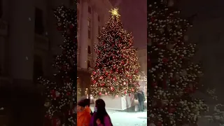 Президентская новогодняя ёлка на Банковой. Киев. Christmas tree. Kyiv. Ukraine.