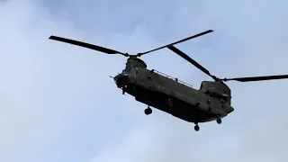 Spectacular Sight Chinook Helicopters Soar Over Norfolk, UK