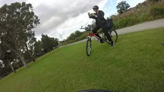 Nothing to see here - except a bloke riding with his parrot