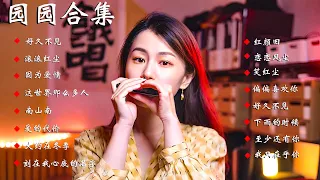 Yuanyuan's Classic And Healing Music, Let's Relax In The Music