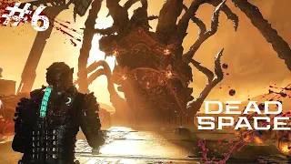 DEAD SPACE REMAKE Gameplay Parte final #6 60FPS | Capitulo 11- 12 zheev