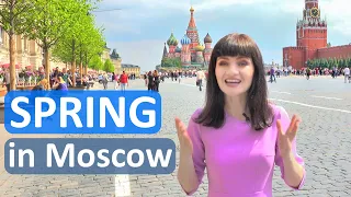 SPRING IN MOSCOW | The best time to visit Russia's capital (English subs, subtítulos en español)