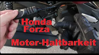 Honda Forza Feierabendrunde nach dem Dreh :-) #5