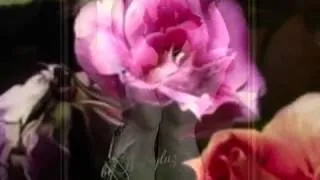 The rose - Giovanni Marradi.wmv.mp4