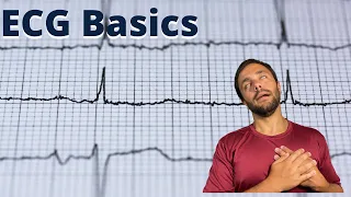 Understanding The Basics Of An ECG - NSCA CSCS Exam