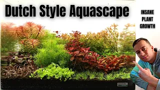 STEP BY STEP: EASY 35 LITER NANO DUTCH STYLE AQUASCAPE