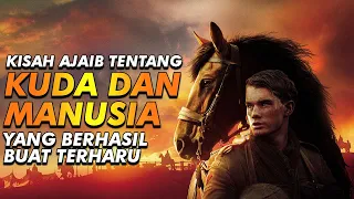 Cerita Tentang Kuda Yang Ajaib - Alur Cerita Film War Horse (2011)