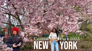 ⁴ᴷ NYC Spring Walk : Complete Central Park Cherry Blossom Walking Tour April 2023