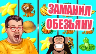 КАК ИГРАТЬ И ВЫИГРАТЬ В ОБЕЗЬЯНКИ CRAZY MONKEY 🐒 ВЫИГРЫШИ В КАЗИНО ВУЛКАН ИГРОВЫЕ АВТОМАТЫ ОНЛАЙН