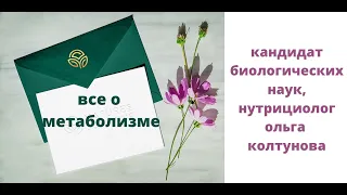 Все о метаболизме. к.б.н. Ольга Колтунова|запись прямого эфира