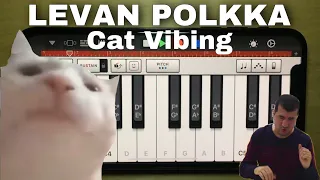 Cat Vibing On Garageband