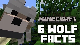 Minecraft - 6 Wolf Facts You Might Not Know