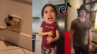 Your Daily Dose of TikTok Day 229