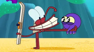 Little Pal | NEW The Adventures of Bernie | Zig & Sharko - Cartoons for Kids